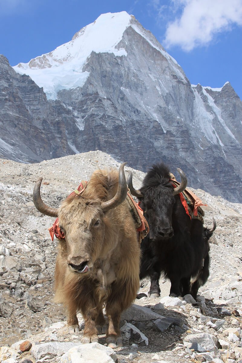 High Himalaya, Nepal